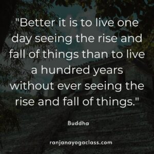 Buddha Quotes