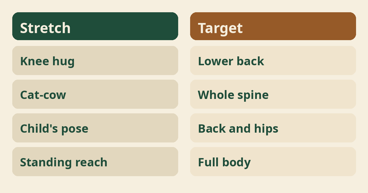 Morning Stretches for Back Pain for Beginners